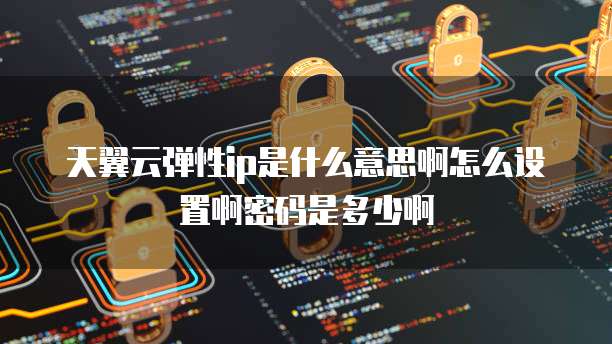 天翼云弹性ip是什么意思啊怎么设置啊密码是多少啊