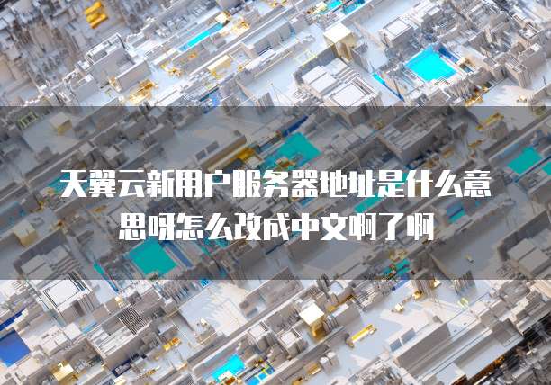 天翼云新用户服务器地址是什么意思呀怎么改成中文啊了啊