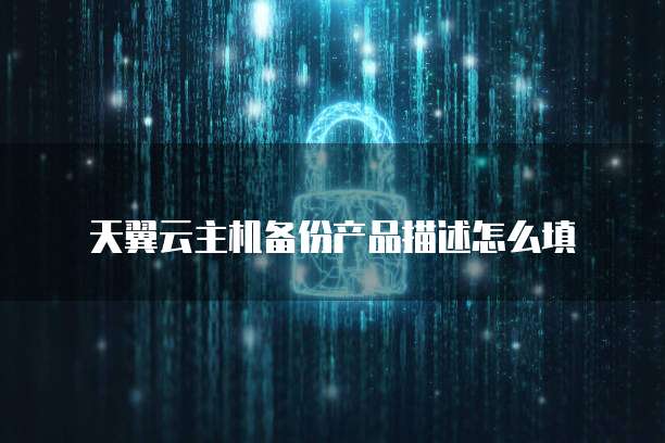天翼云主机备份产品描述怎么填