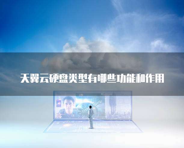 天翼云硬盘类型有哪些功能和作用