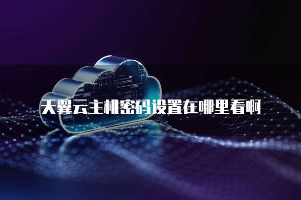 天翼云主机密码设置在哪里看啊