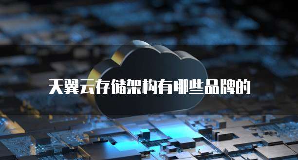 天翼云存储架构有哪些品牌的