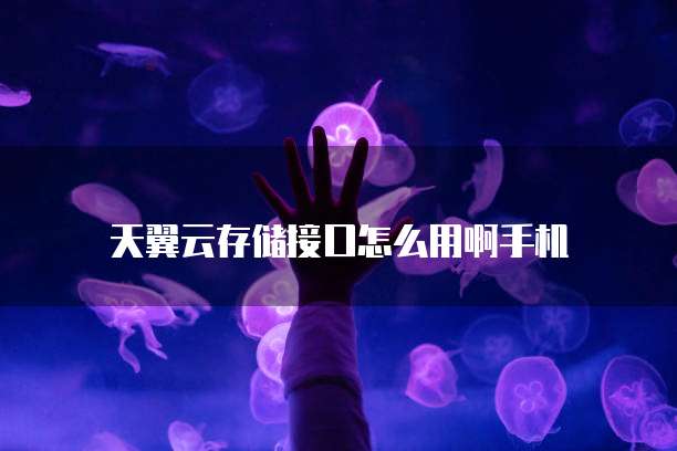 天翼云容器:内容包括什么