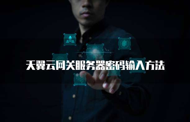 天翼云网关服务器密码输入方法