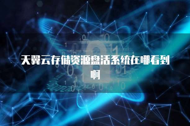 天翼云存储资源盘活系统在哪看到啊