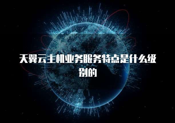 天翼云主机业务服务特点是什么级别的