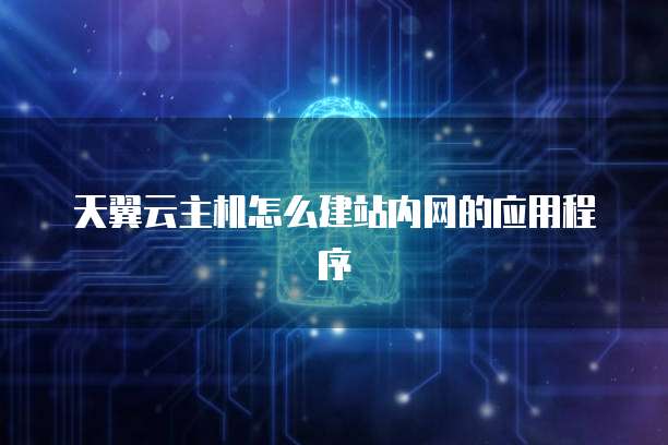 天翼云主机怎么建站内网的应用程序
