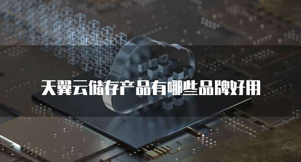 天翼云储存产品有哪些品牌好用