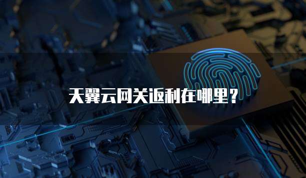 天翼云网关返利在哪里?