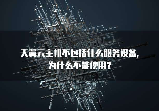 天翼云主机不包括什么服务设备,为什么不能使用?