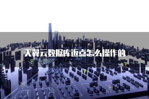 天翼云数据库返点怎么操作的
