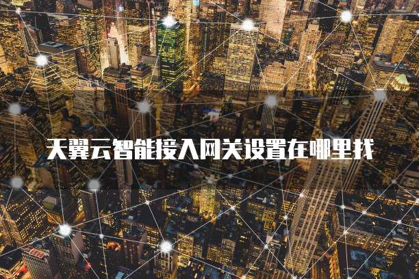 天翼云智能接入网关设置在哪里找