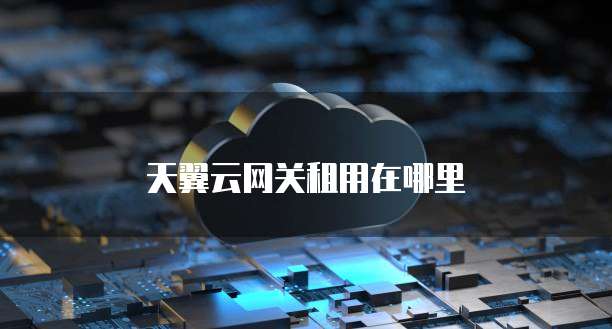 天翼云网关租用在哪里