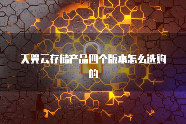 天翼云存储产品四个版本怎么选购的
