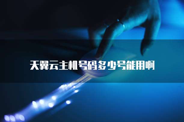 天翼云主机号码多少号能用啊