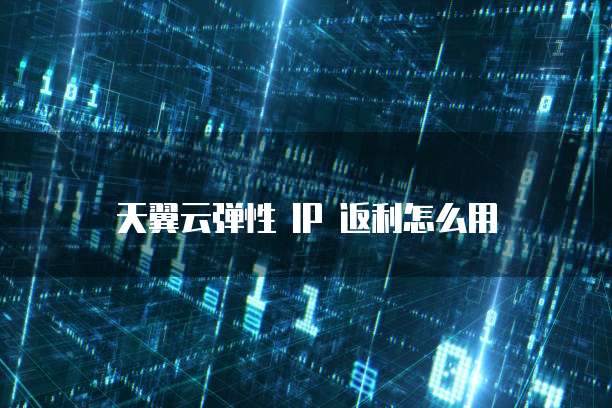 天翼云弹性 IP 返利怎么用