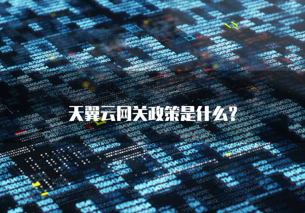 天翼云网关政策是什么?