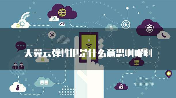 天翼云弹性IP是什么意思啊呢啊