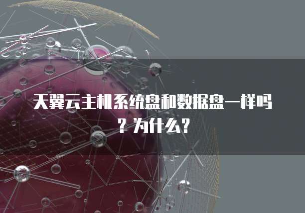 天翼云主机系统盘和数据盘一样吗？为什么？