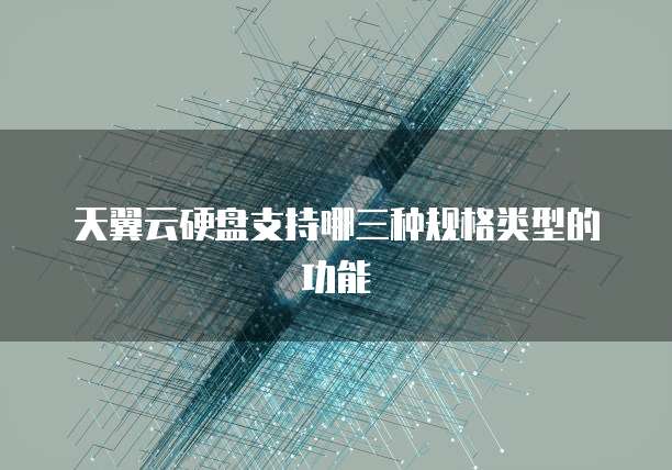 天翼云硬盘支持哪三种规格类型的功能