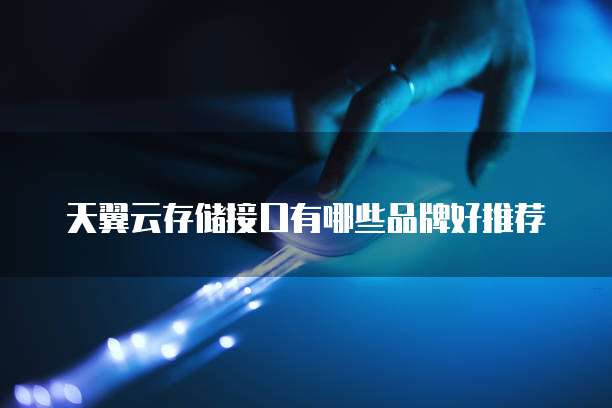天翼云存储接口有哪些品牌好推荐