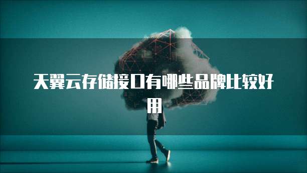天翼云存储接口有哪些品牌比较好用