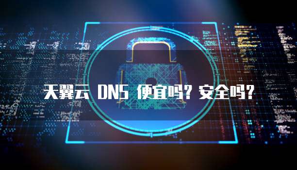 天翼云 DNS 便宜吗?安全吗?