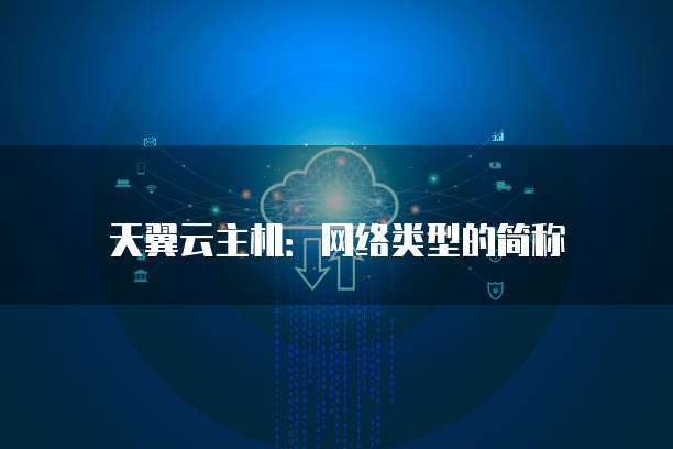 天翼云主机:网络类型的简称