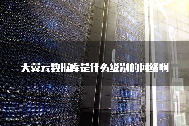 天翼云数据库是什么级别的网络啊