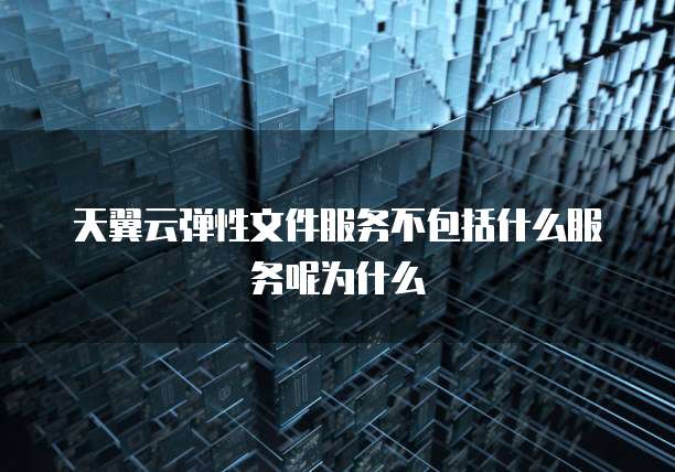 天翼云弹性文件服务不包括什么服务呢为什么