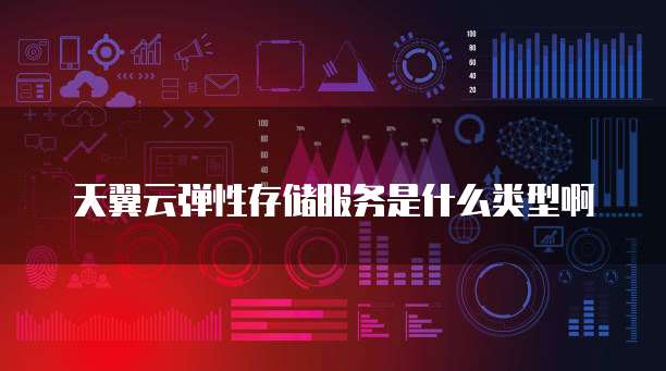 天翼云弹性存储服务是什么类型啊