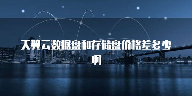 天翼云数据盘和存储盘价格差多少啊