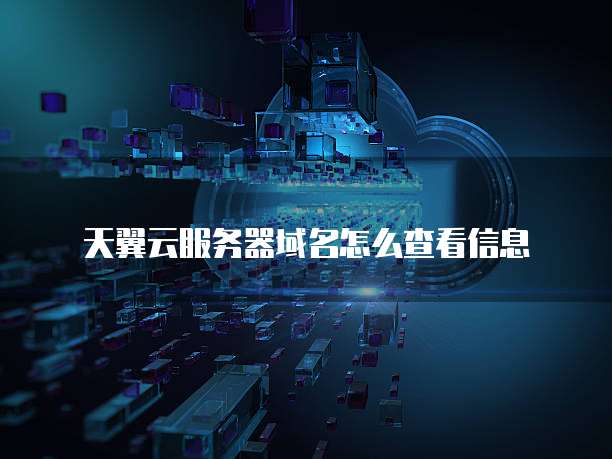 天翼云服务器域名怎么查看信息