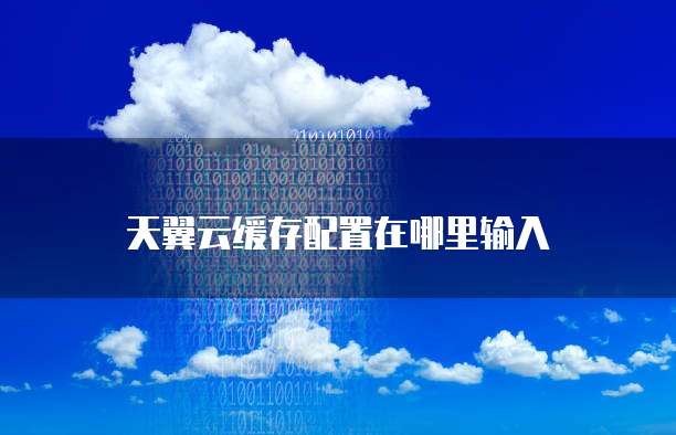 天翼云缓存配置在哪里输入