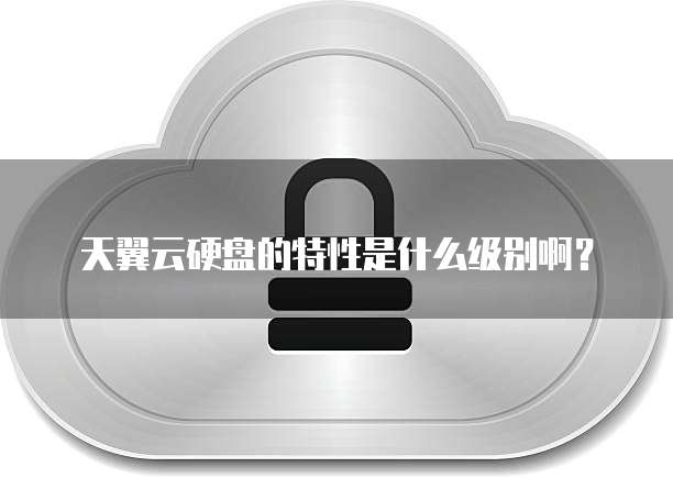 天翼云硬盘的特性是什么级别啊？
