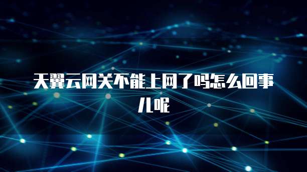 天翼云网关不能上网了吗怎么回事儿呢