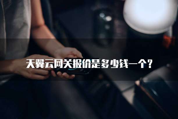 天翼云网关报价是多少钱一个?