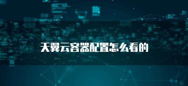 天翼云容器配置怎么看的
