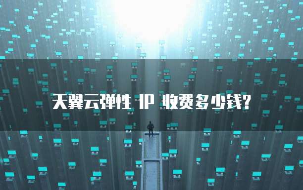 天翼云弹性 IP 收费多少钱?
