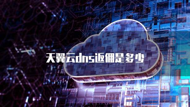 天翼云dns返佣是多少