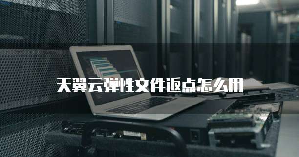 天翼云弹性文件返点怎么用