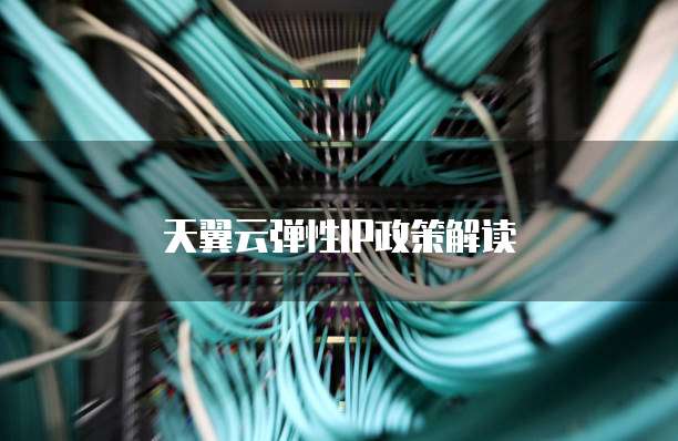 天翼云弹性IP政策解读