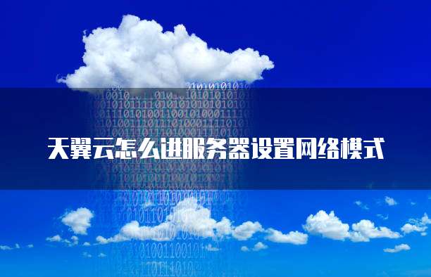 天翼云怎么进服务器设置网络模式