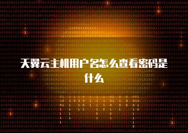 天翼云主机用户名怎么查看密码是什么