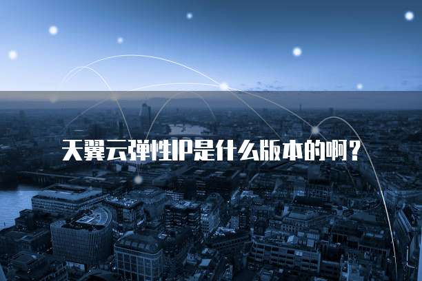 天翼云弹性IP是什么版本的啊?