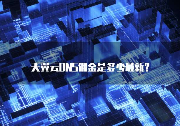 天翼云DNS佣金是多少最新?