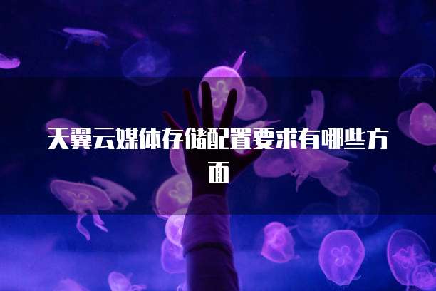 天翼云媒体存储配置要求有哪些方面