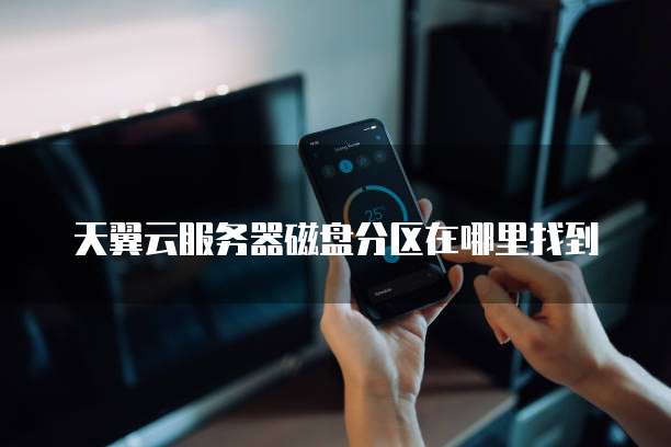 天翼云服务器磁盘分区在哪里找到