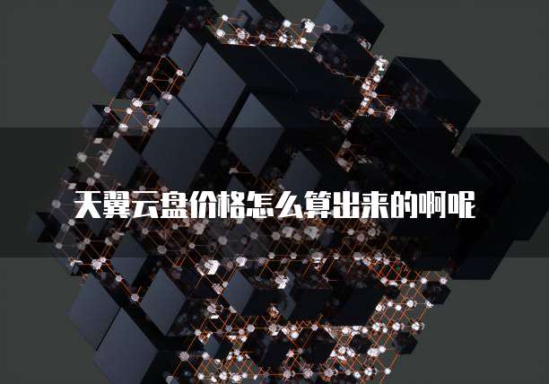 天翼云盘价格怎么算出来的啊呢