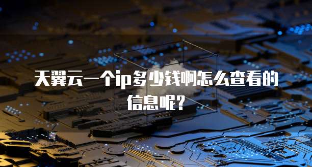 天翼云一个ip多少钱啊怎么查看的信息呢?